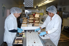 Washington State - Workers at Aplets & Cotlets tour craft apple creations